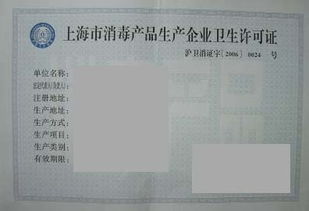 江苏电梯维保观光电梯许可证 武汉雨正企业管理咨询南京分公司 产品许可认证