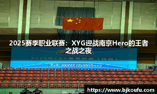 2025赛季职业联赛：XYG迎战南京Hero的王者之战之夜